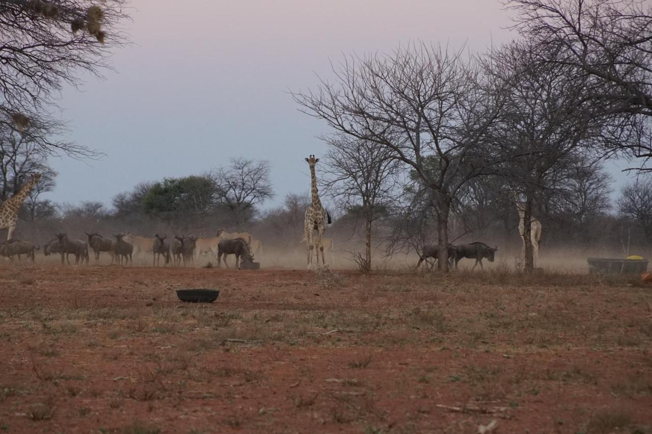 Kwele Game Lodge Beauty Exteriér fotografie