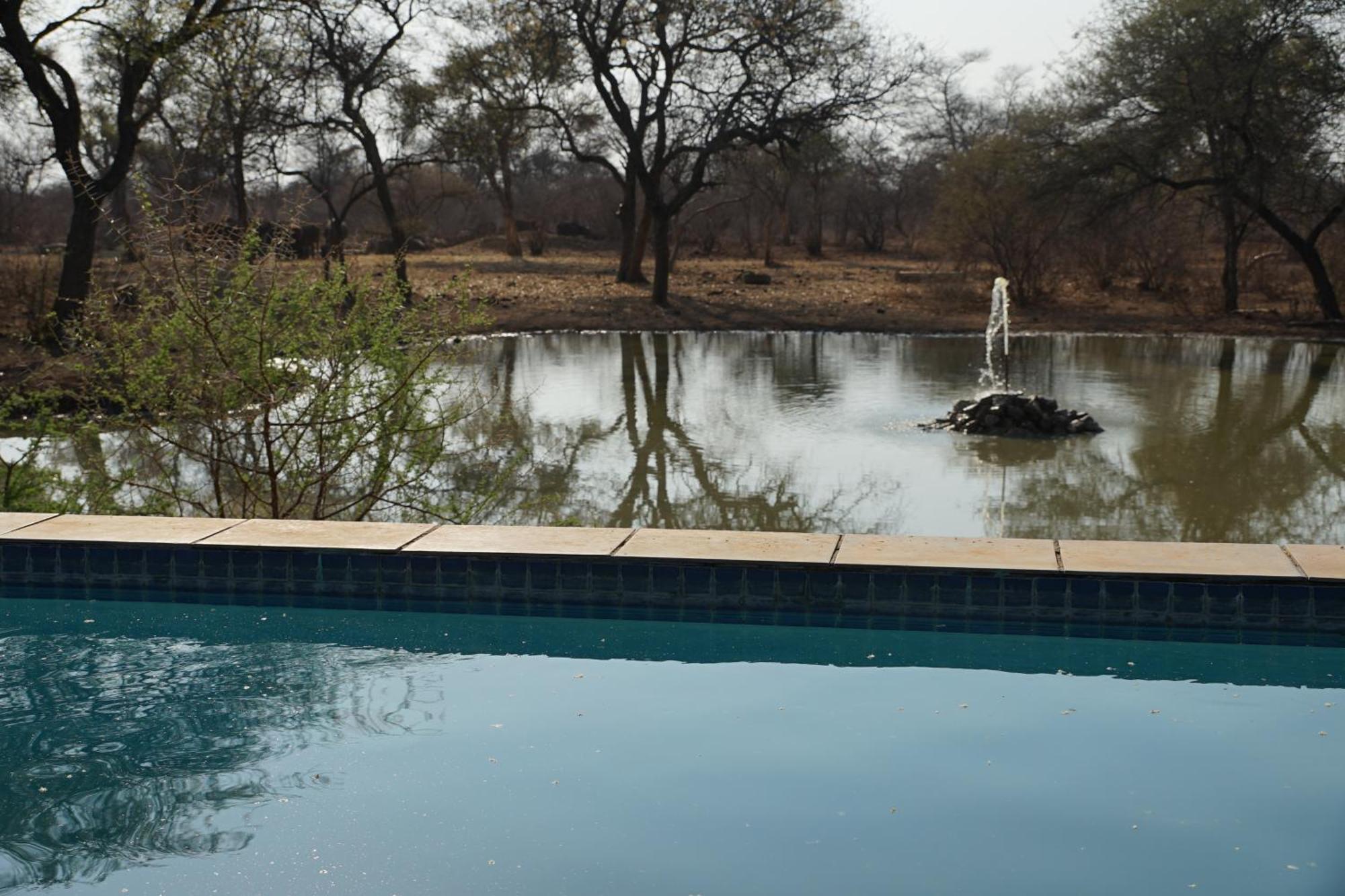 Kwele Game Lodge Beauty Exteriér fotografie