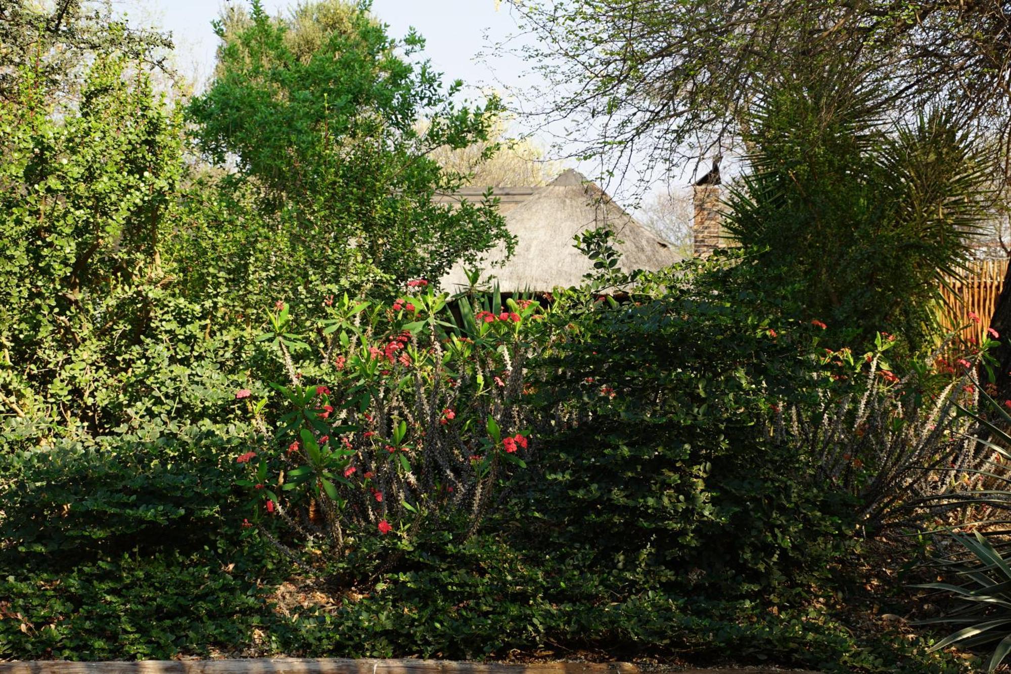 Kwele Game Lodge Beauty Exteriér fotografie