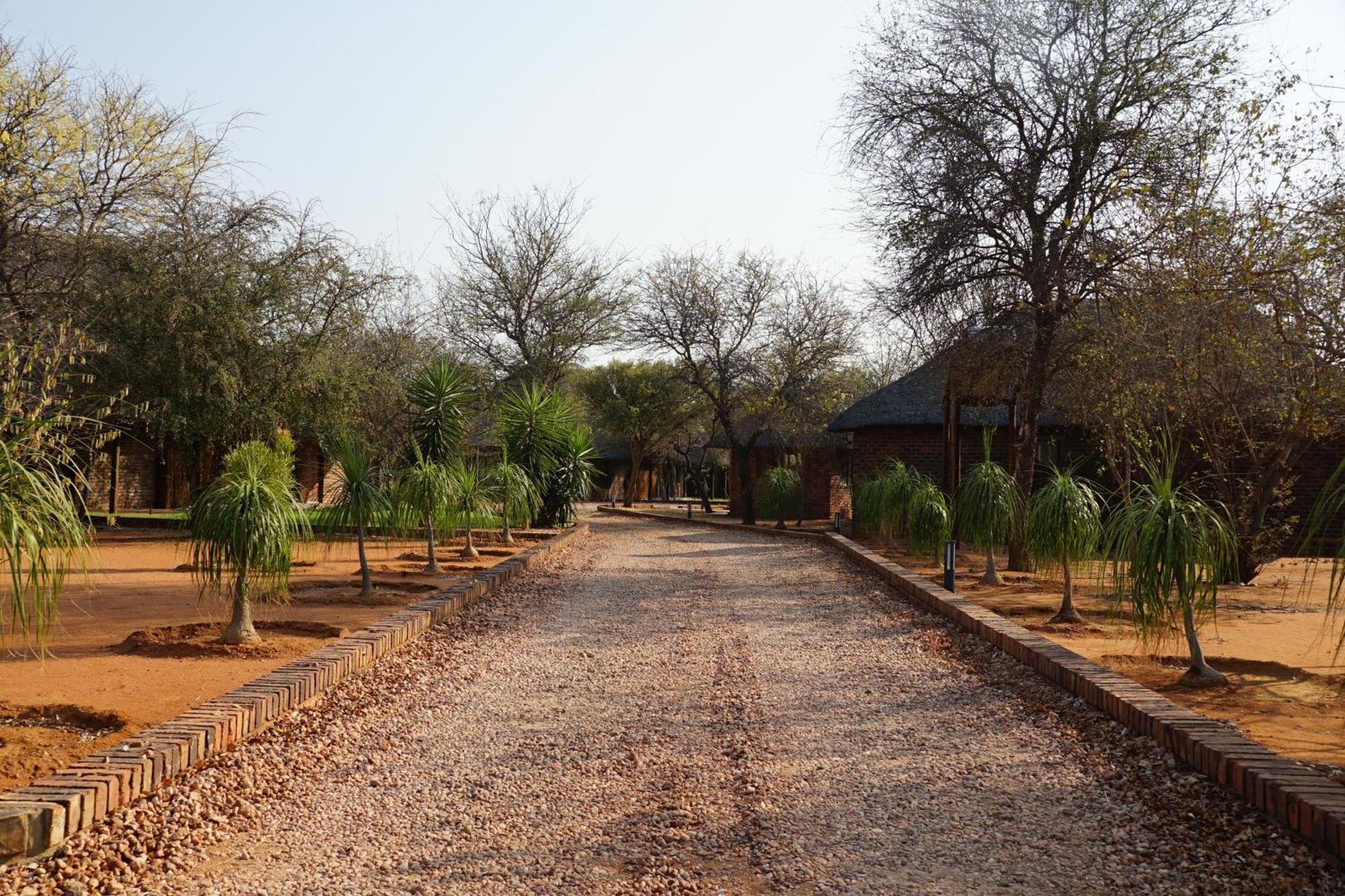 Kwele Game Lodge Beauty Exteriér fotografie